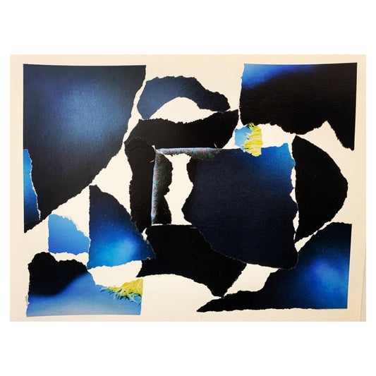 The Night Sky and a Soaring Wild Bird #3