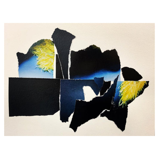 The Night Sky and a Soaring Wild Bird #2