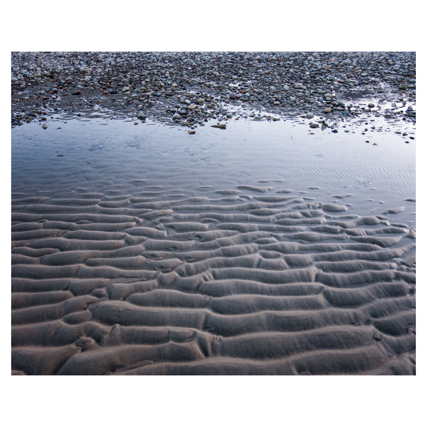 A Record of the Bottom of the Sea