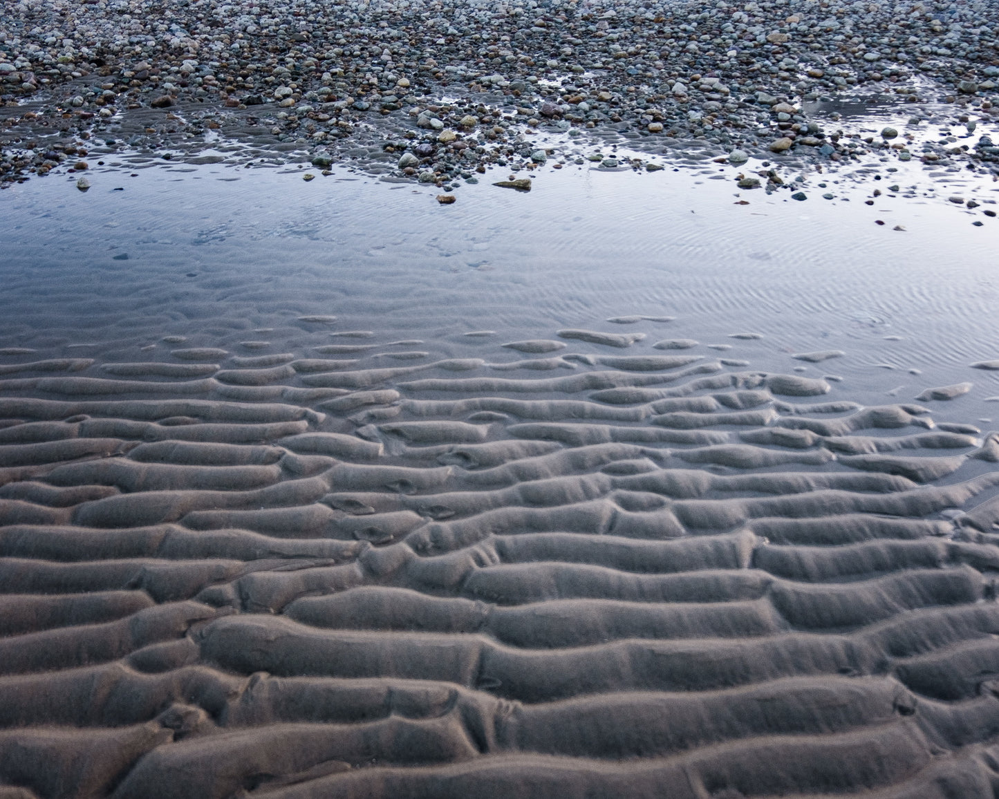 A Record of the Bottom of the Sea