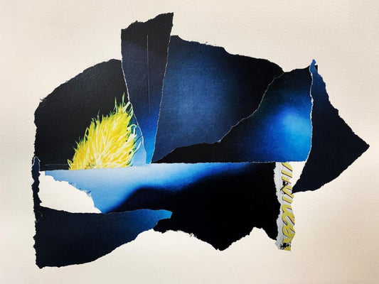 The Night Sky and a Soaring Wild Bird #1