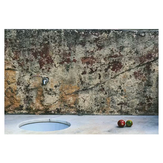 Untitled (Tomatoes in Brazil)