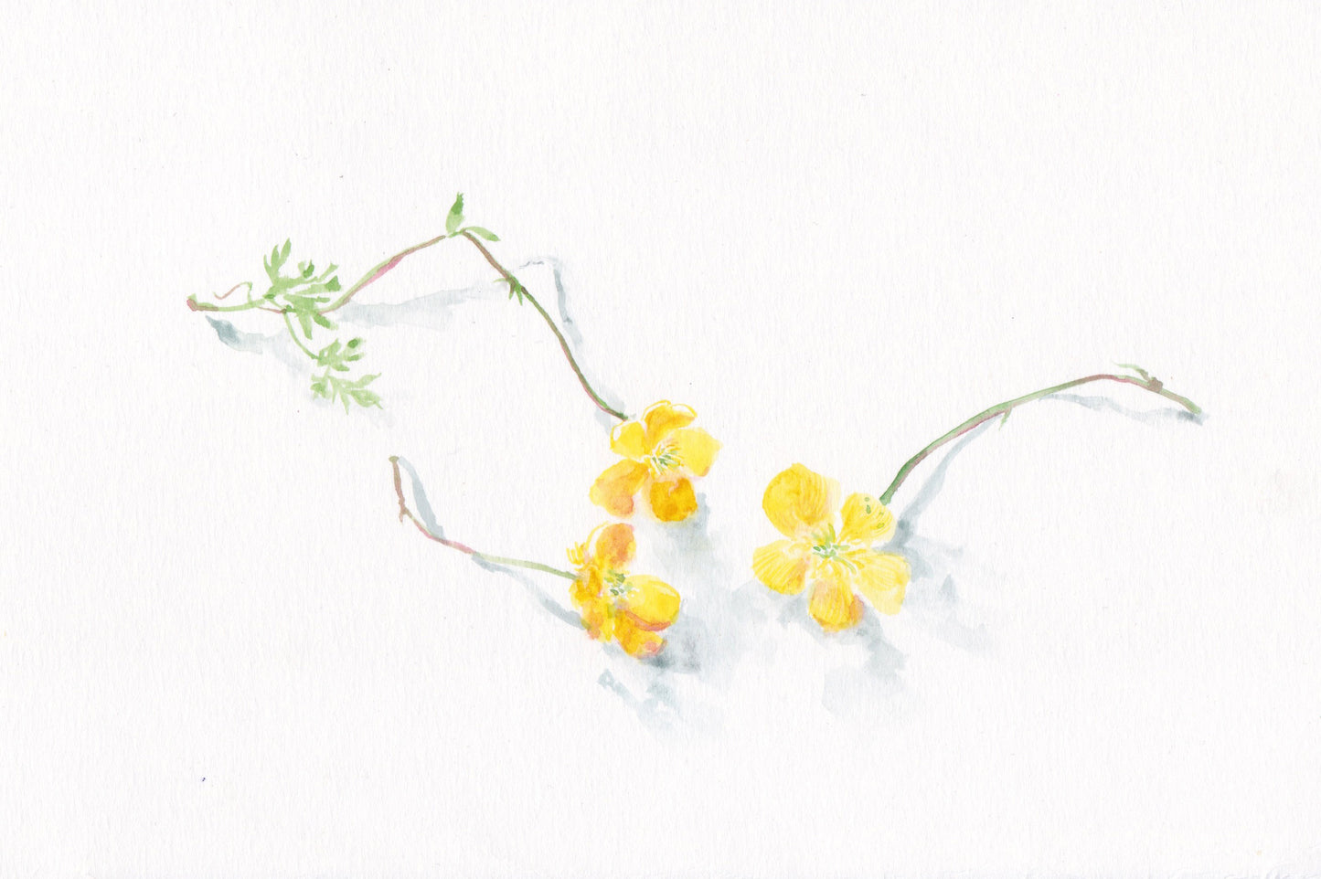 Three