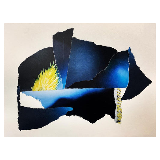 The Night Sky and a Soaring Wild Bird #1