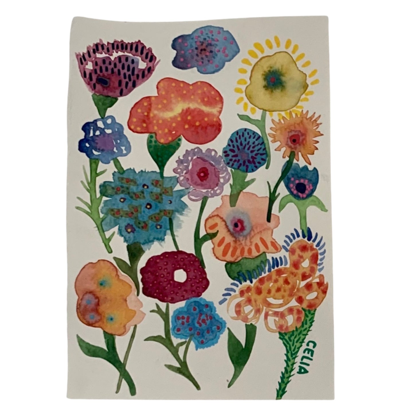 Meadow I
