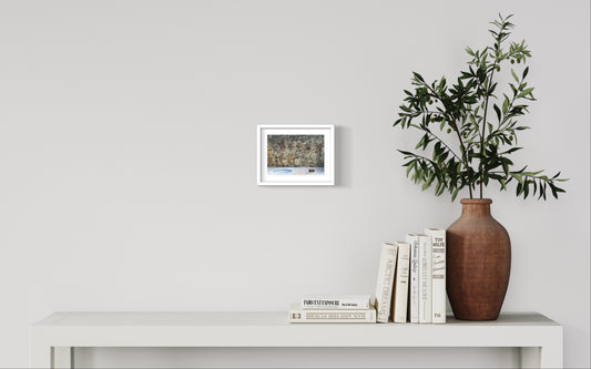 Untitled (Tomatoes in Brazil)